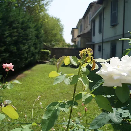 Bed & Breakfast Rosa Bianca