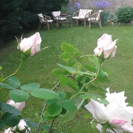 Rosa Bianca 3* ורצ'לי