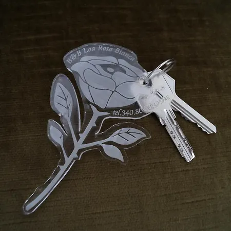 Bed & Breakfast Rosa Bianca Vercelli